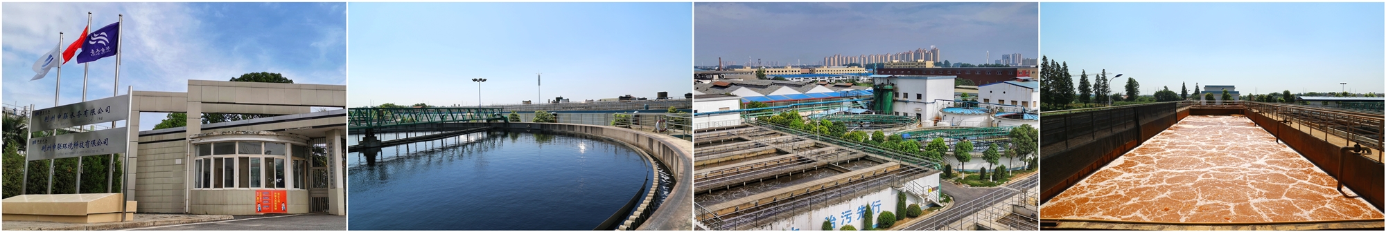 �������ʡ�w66(�й�)���������