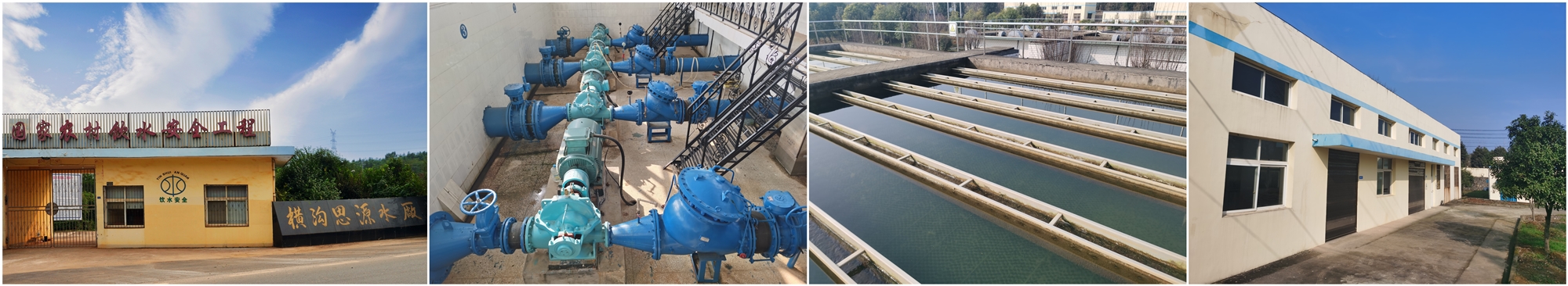 �������ʡ�w66(�й�)���������