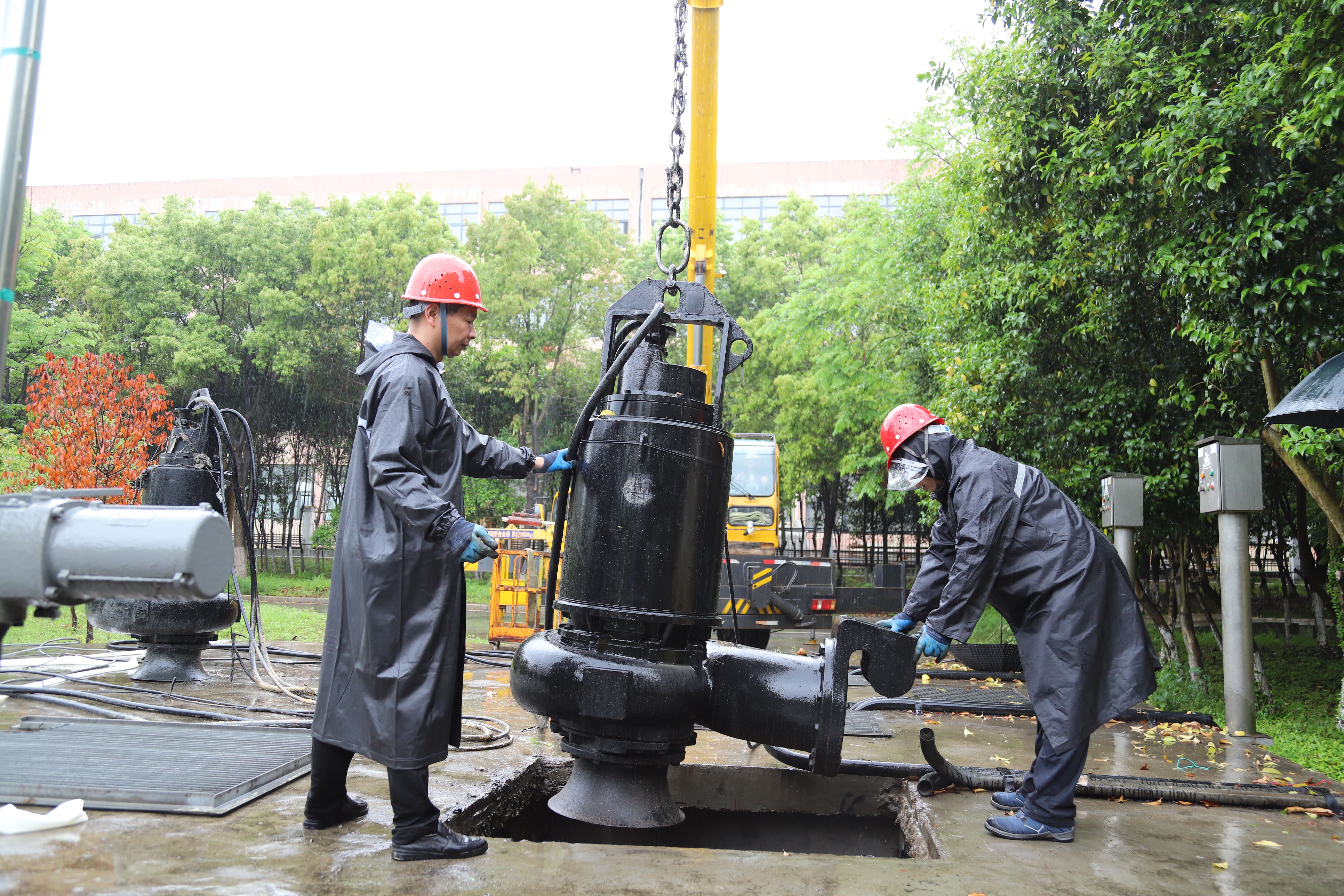 �������ʡ�w66(�й�)���������