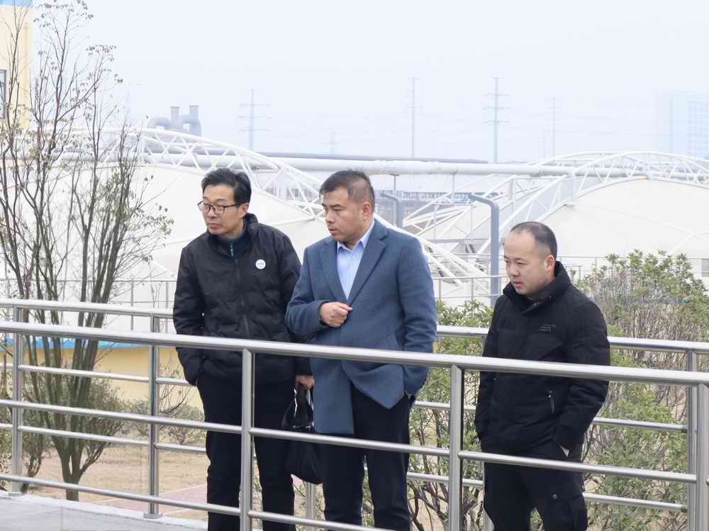 �������ʡ�w66(�й�)���������