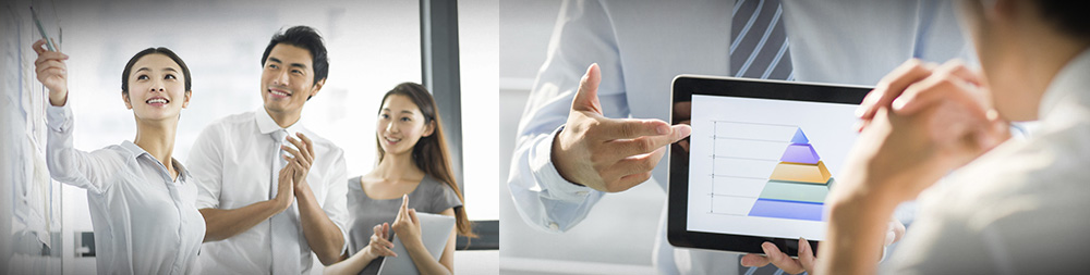 �������ʡ�w66(�й�)���������