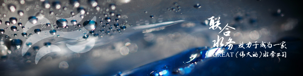 �������ʡ�w66(�й�)���������